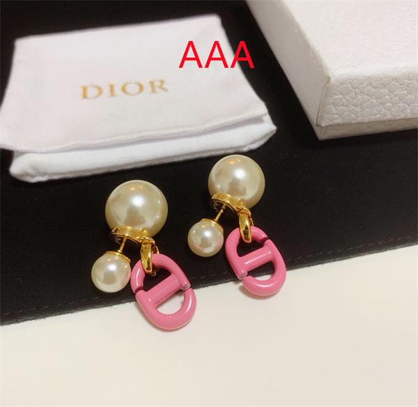 Dior Earrings-304