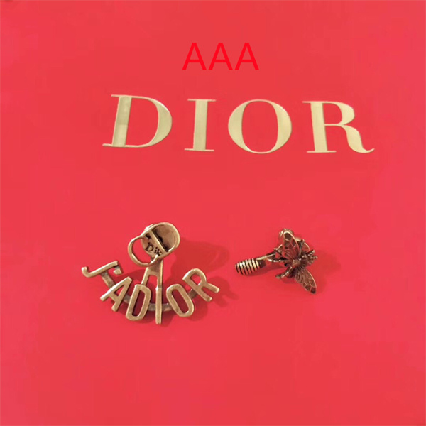 Dior Earrings-032