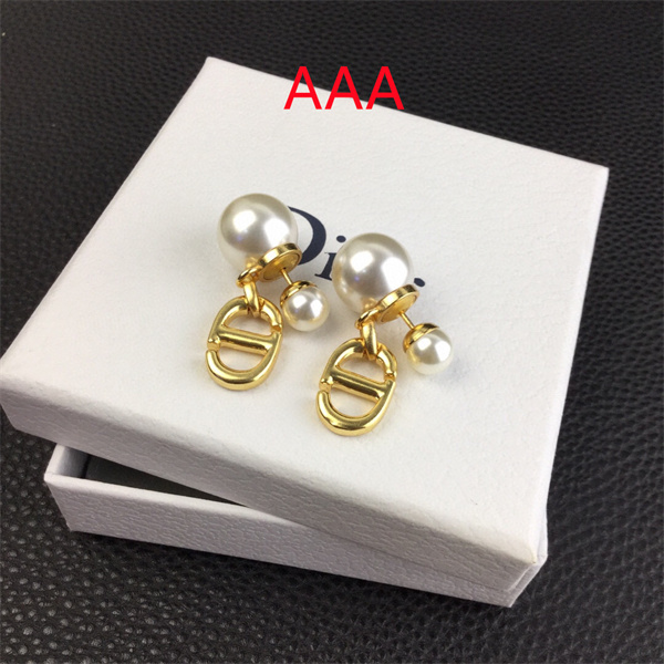 Dior Earrings-323