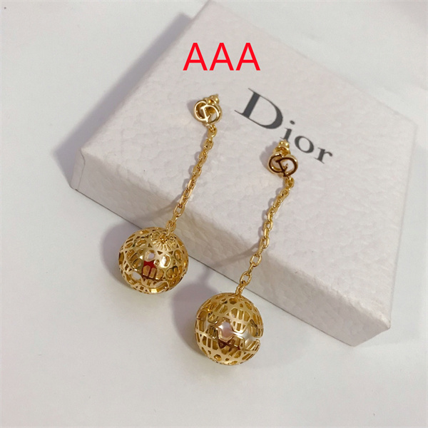 Dior Earrings-035