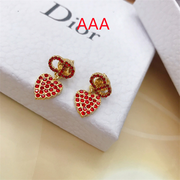 Dior Earrings-036