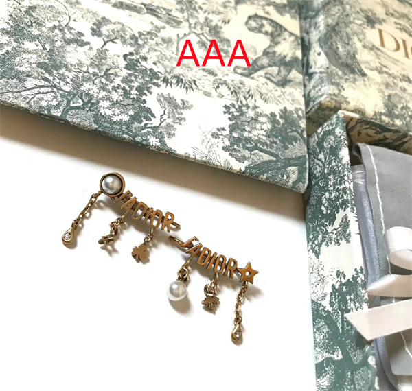 Dior Earrings-041