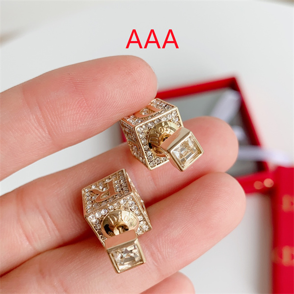Dior Earrings-042