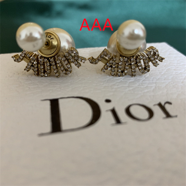 Dior Earrings-044