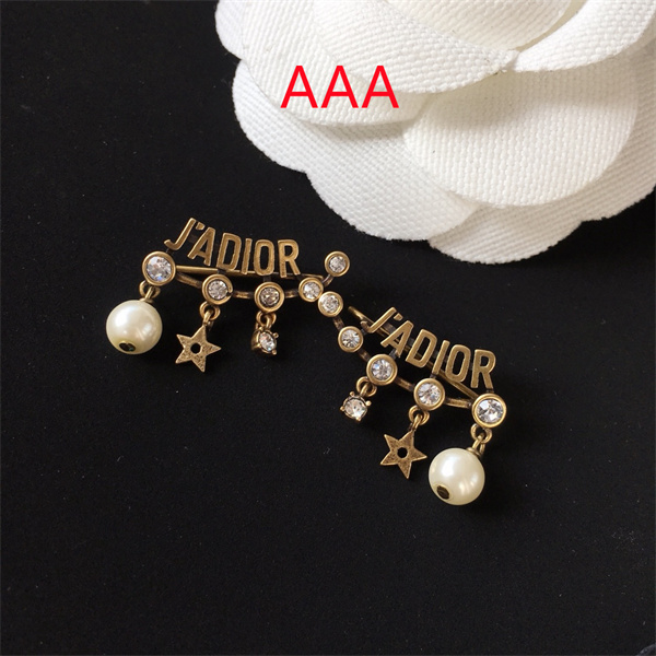Dior Earrings-066