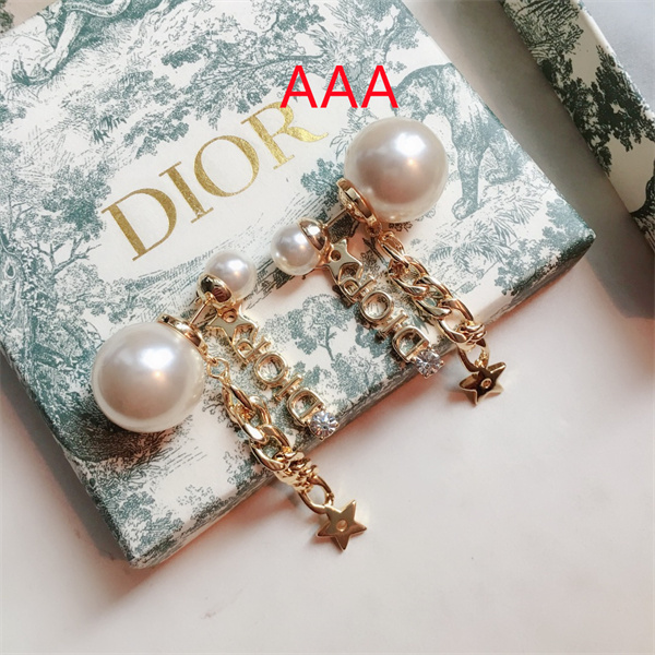Dior Earrings-069