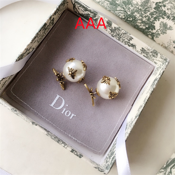 Dior Earrings-070