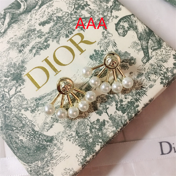 Dior Earrings-079