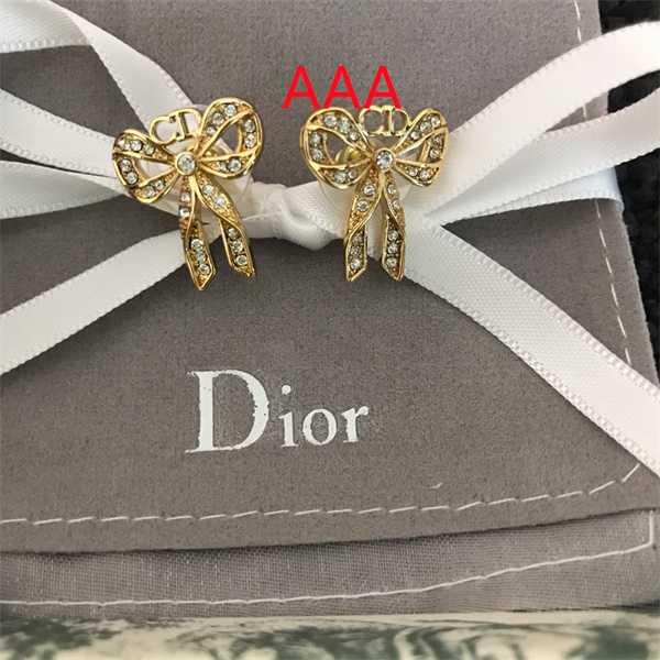 Dior Earrings-009