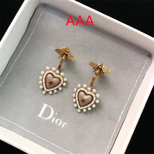 Dior Earrings-091