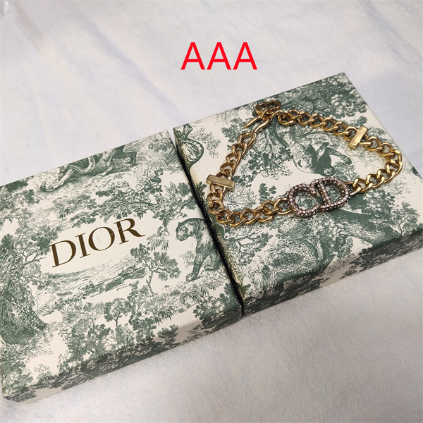 Dior Necklace-055