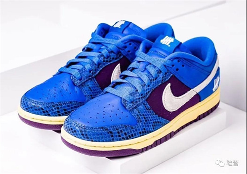 Dunk(low)-M-144