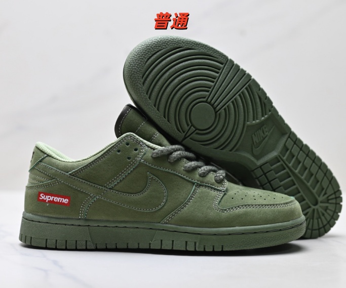 Dunk Shoes-1056