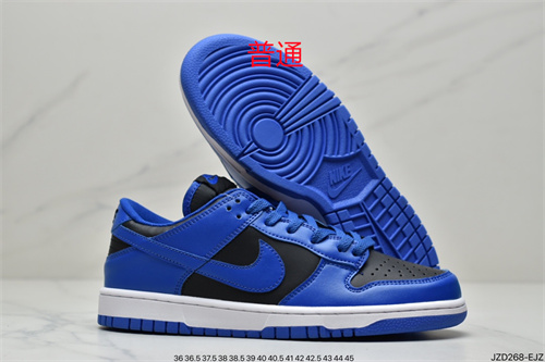 Dunk Shoes-149
