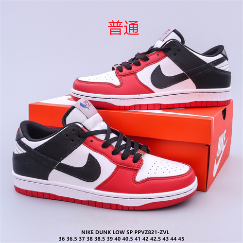 Dunk Shoes-037