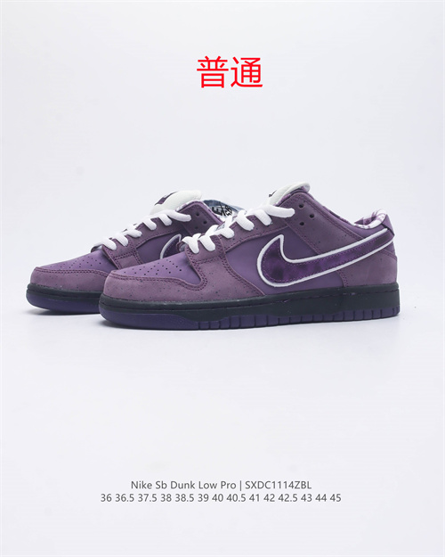 Dunk Shoes-0624