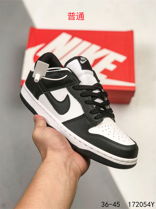 Dunk Shoes-095