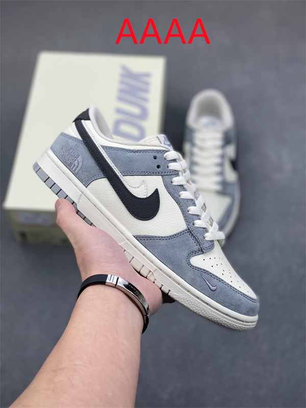 Nike Dunk(AAAA)-1674