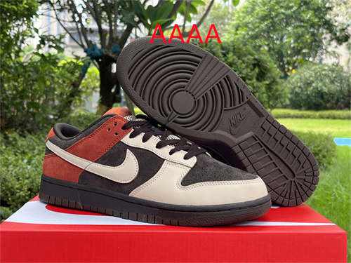 Nike Dunk(AAAA)-676
