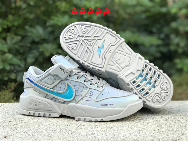 Nike Dunk(AAAAA)-0254