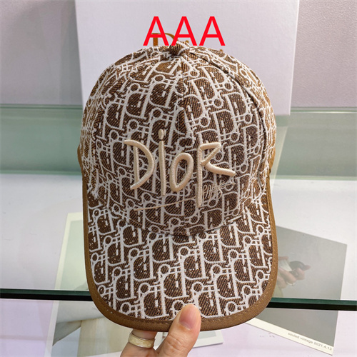 Dior-Cap(AAA)-102