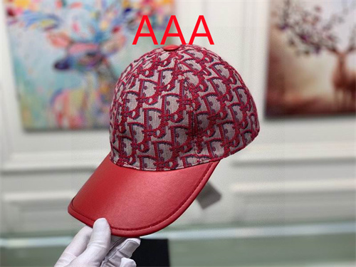 Dior-Cap(AAA)-021