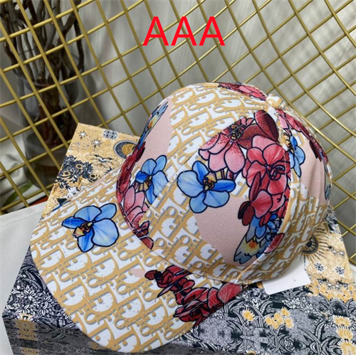 Dior-Cap(AAA)-123
