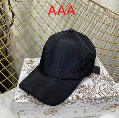 Dior-Cap(AAA)-144