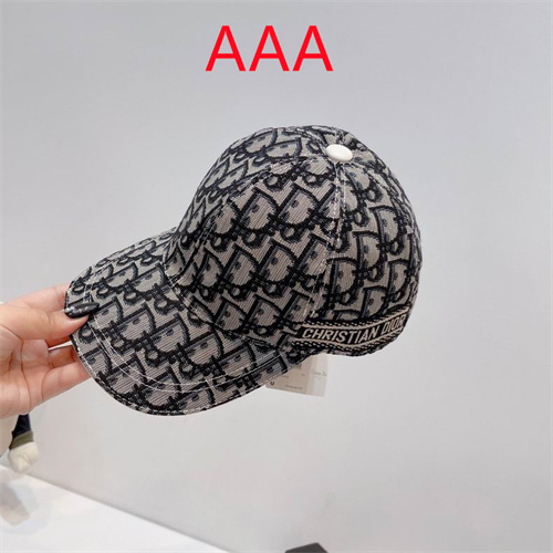 Dior-Cap(AAA)-031