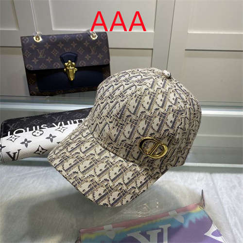 Dior-Cap(AAA)-060