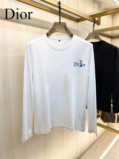 Dior long T-shirt(2)-0083