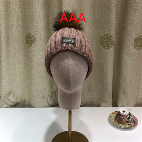 Fendi Beanies(AAA)-045