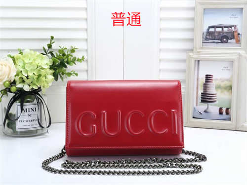 Gucci small bag-0018