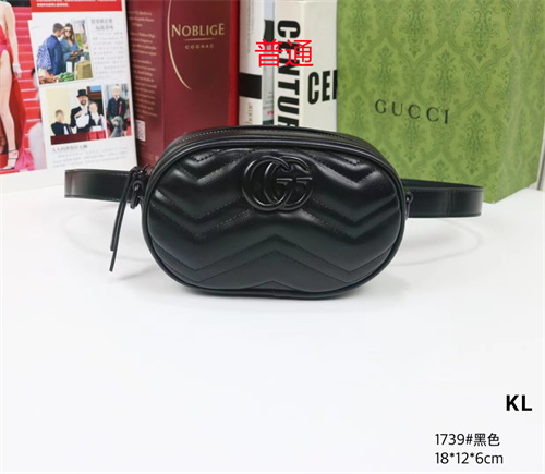 Gucci small bag-0181