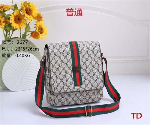 Gucci small bag-0234