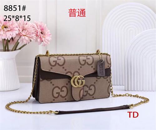 Gucci small bag-0255