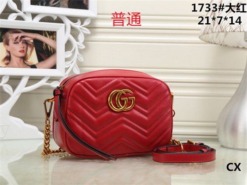 Gucci small bag-0027