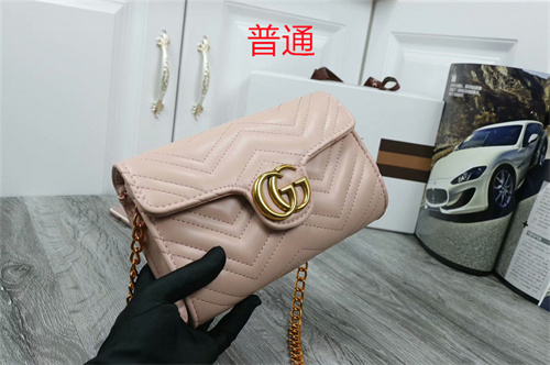 Gucci small bag-0038