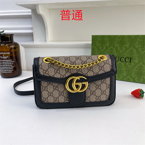 Gucci small bag-0389