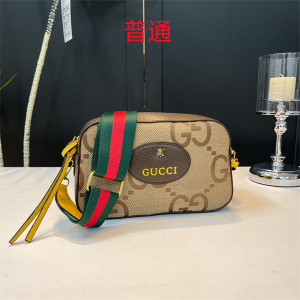 Gucci small bag-0469
