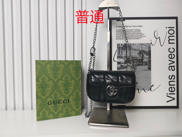 Gucci small bag-0489