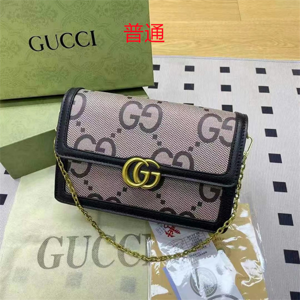 Gucci small bag-0500