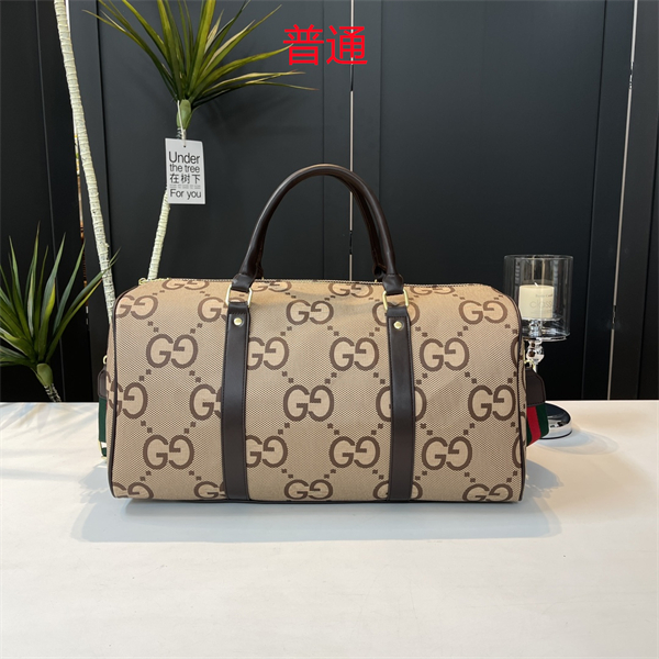 Gucci bag-0116