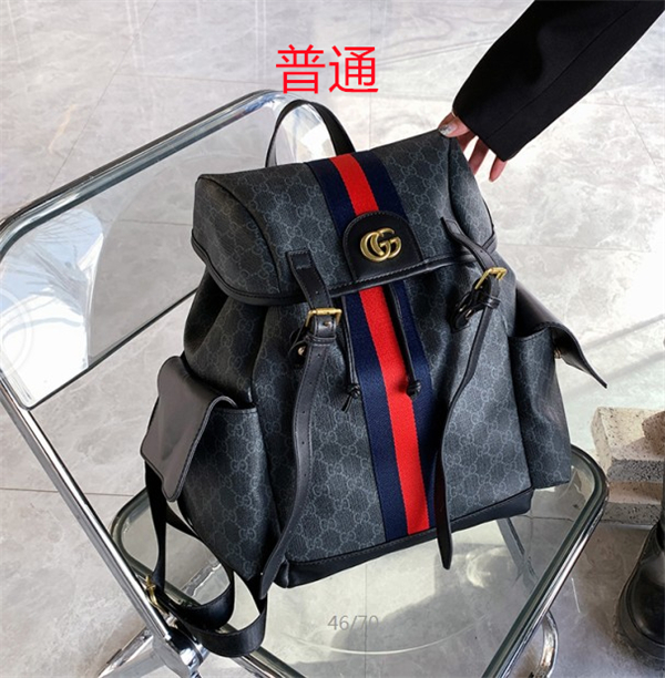 Gucci bag-0163