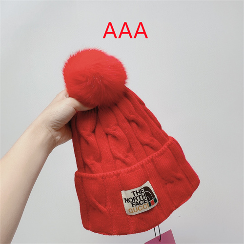 Gucci Beanies(AAA)-106
