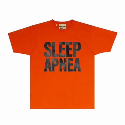 Gallery Dept Round neck T-shirt-0255