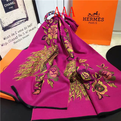 Hermes-Shawl-055