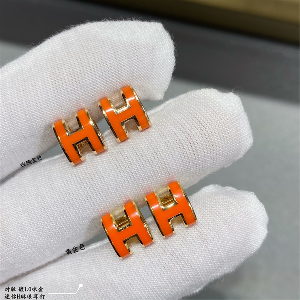 Hermes Earrings-029