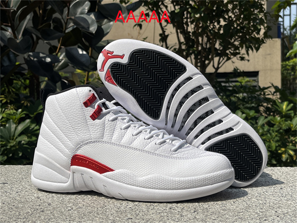 Jordan12(AAAAA)-M-0030