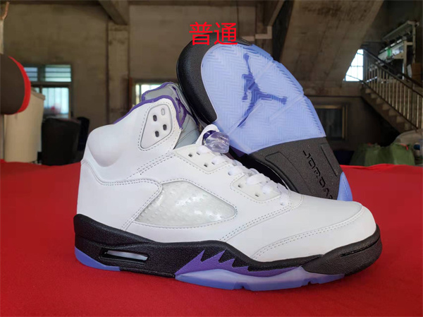 Jordan5-M-0031
